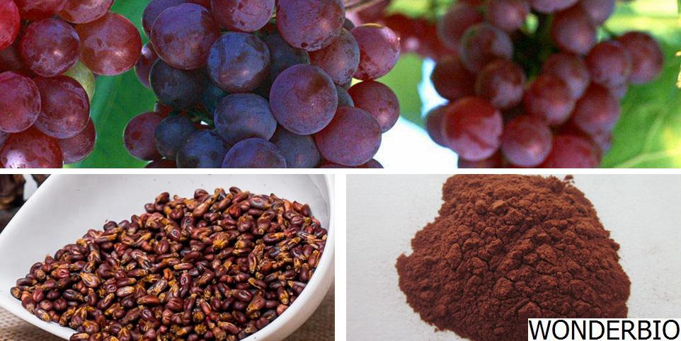 Grape seed extract