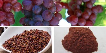 Grape seed extract