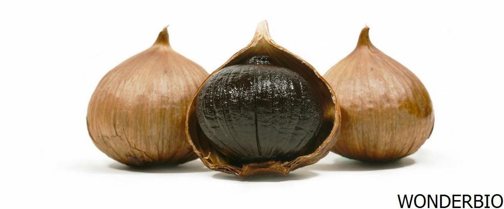 Black Garlic Extract