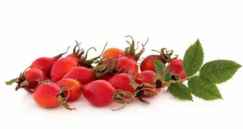 Rose Hip Extract